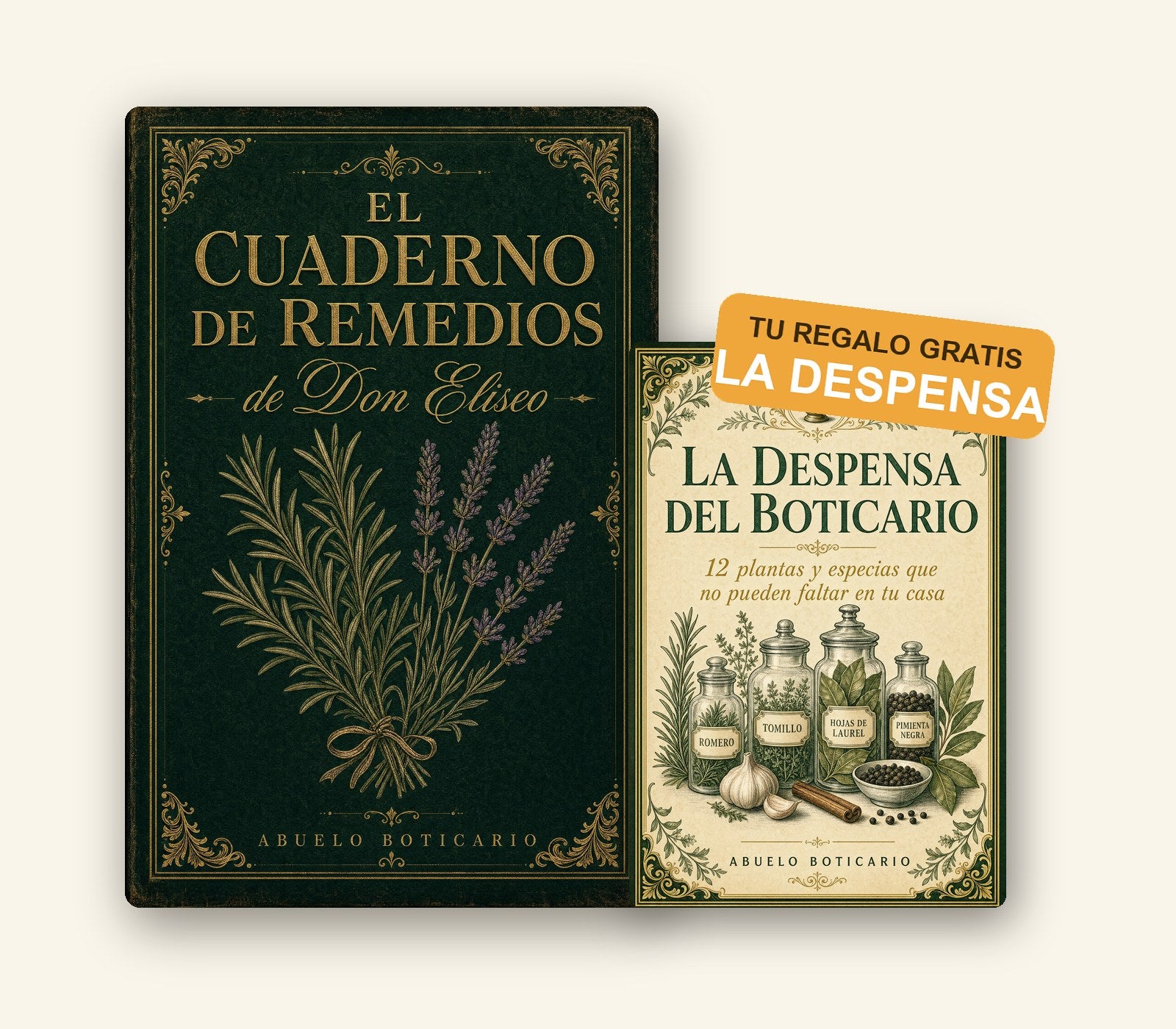 El Cuaderno de Remedios + La Despensa del Boticario de regalo